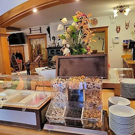 Hotel Garni Trenkenbach Schladming