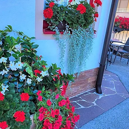 Garni Trenkenbach Hotel Schladming
